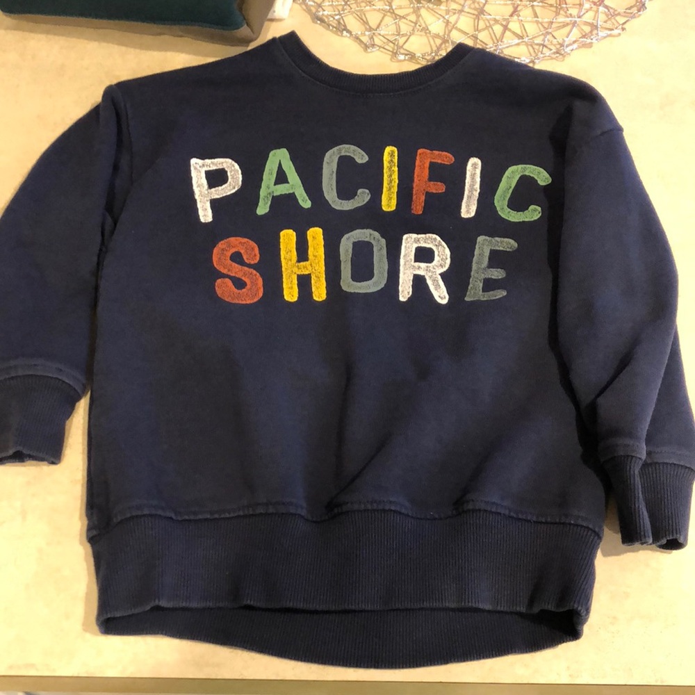 Zara sweatshirt